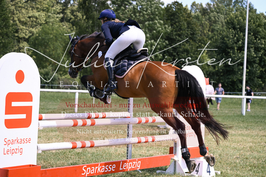 DSC_0319 | Pferde- und Turnierfotografie in Westsachsen. Pferdeportraits, Auftragszeichnungen und intuitive Kunst.