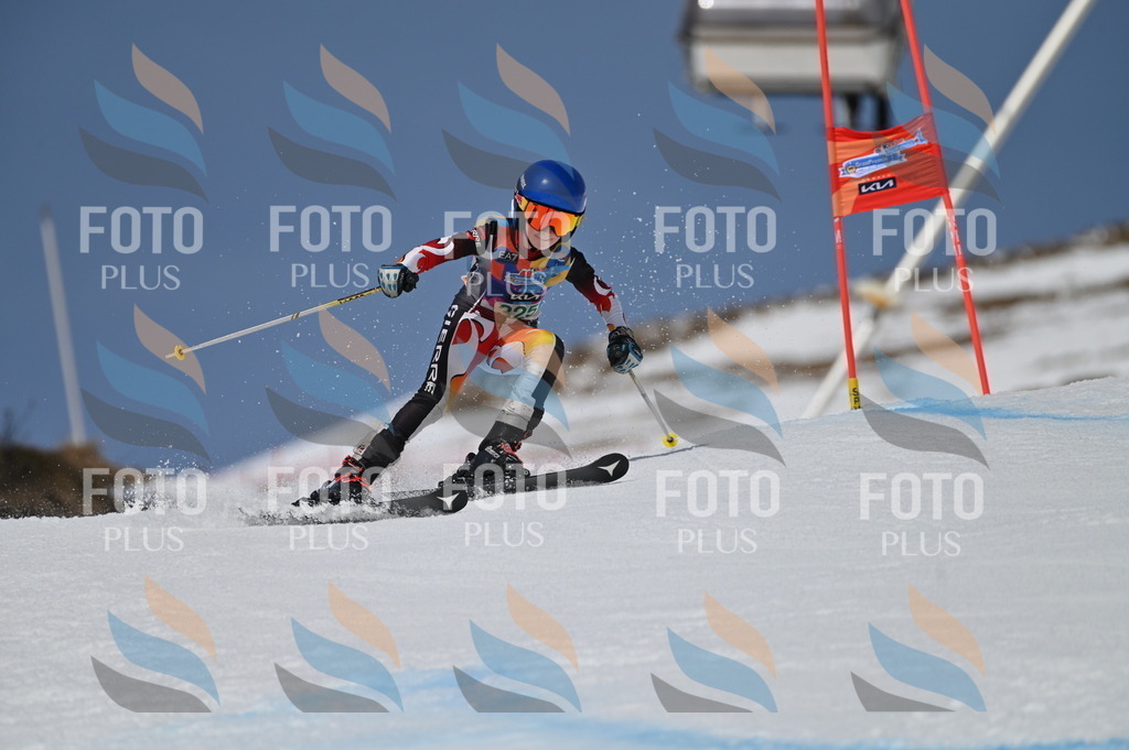 BGV_6429 | holidayphoto