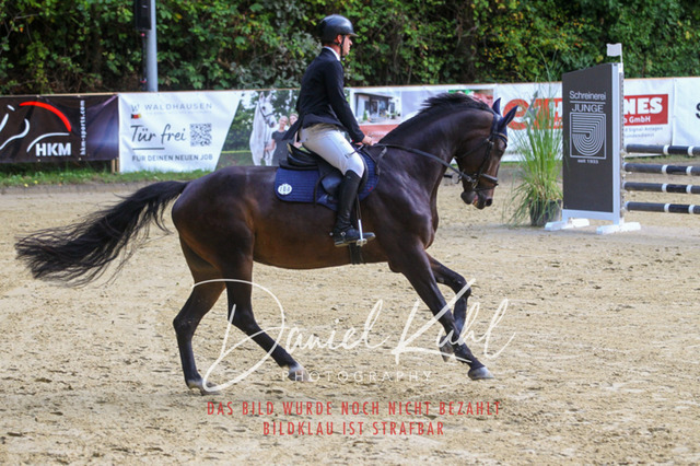 DKP40408 | Turniersportfotografie; Pferdefotografie; Dressurfotografie