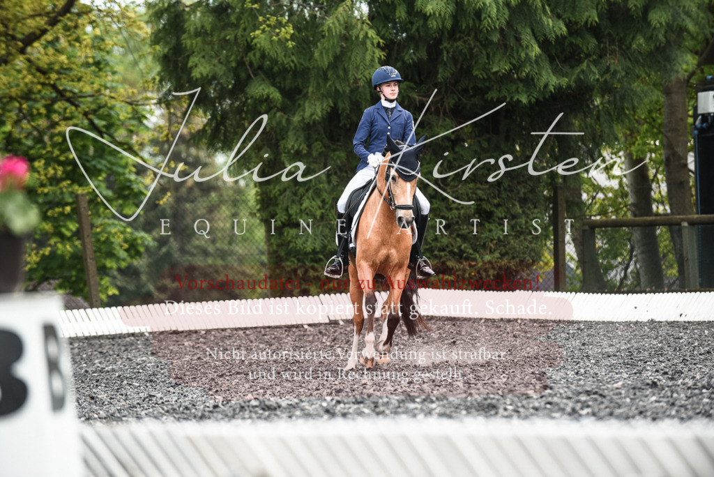 20230514_JK-Röhrsdorf-24-371 | Pferde- und Turnierfotografie in Westsachsen. Pferdeportraits, Auftragszeichnungen und intuitive Kunst.