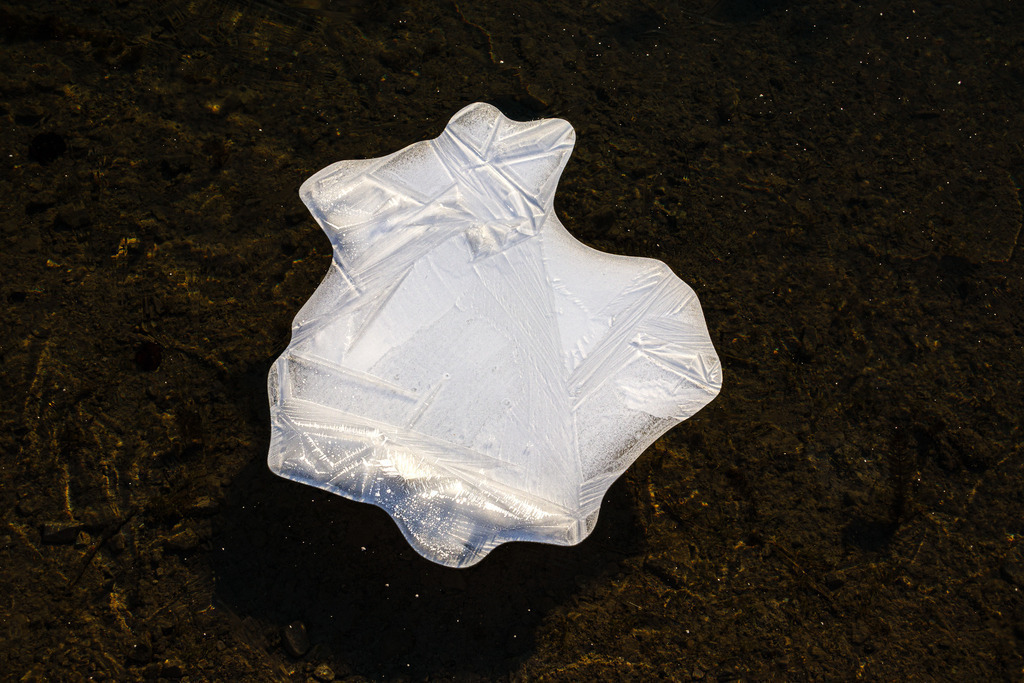 IMG_3724 | ap-design // andreas plenk - Realisiert mit Pictrs.com