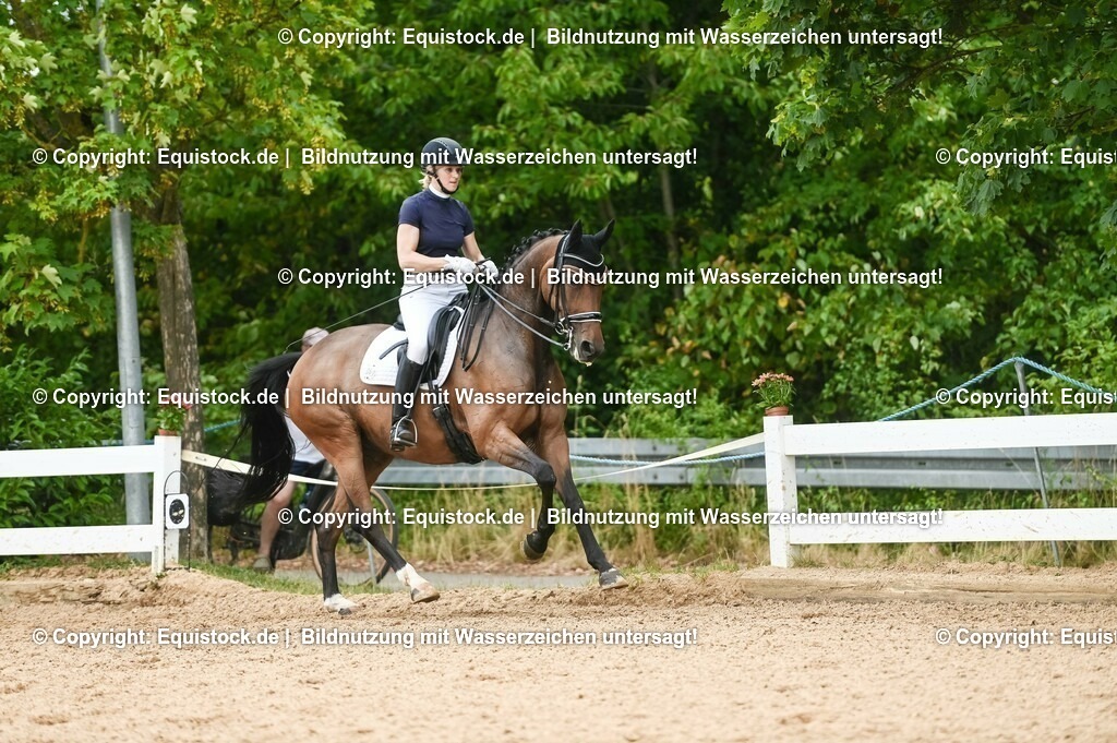 20230716_01_Dressurprüfung Kl.M_0443 | equistock