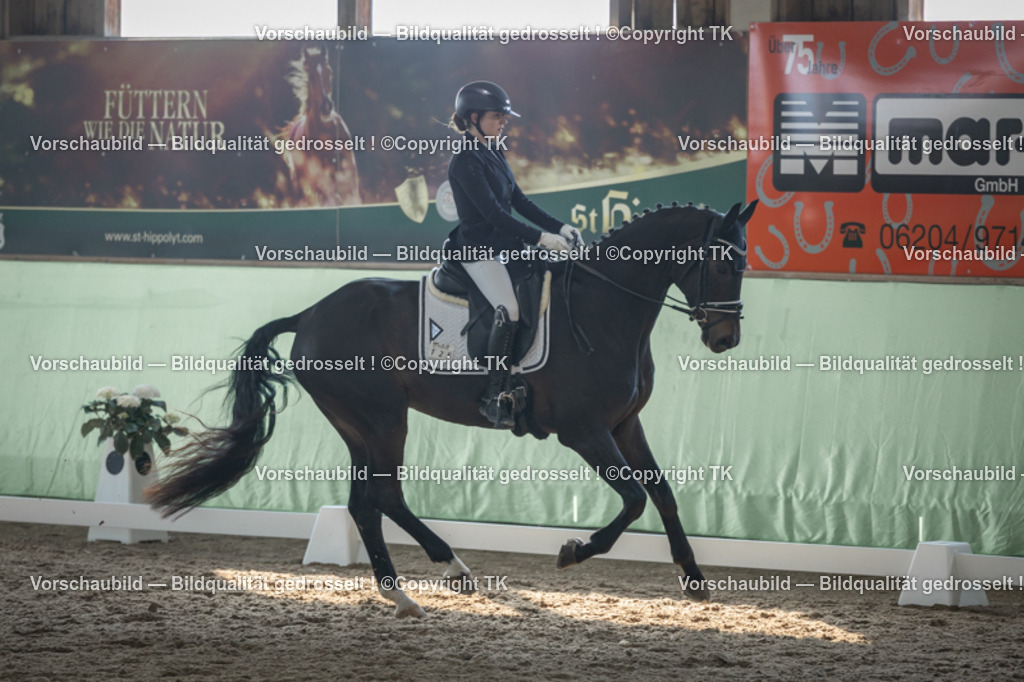 _D5A8483 | Emotionale Pferde- & People-Fotografie rund um Heidelberg, Leimen & Umgebung. Natürliche Fotos von Pferd, Mensch & Familie. Jetzt Termin sichern!