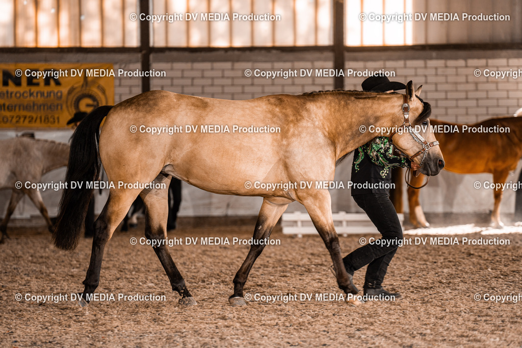 ZH100086 | dv-media-shop - Realisiert mit Pictrs.com