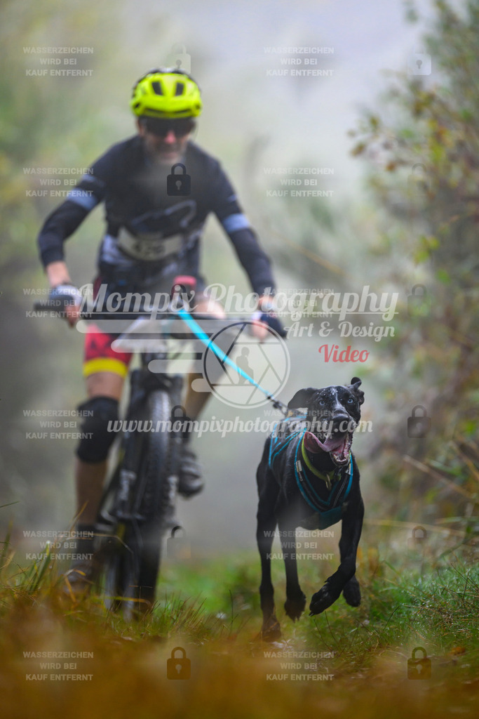 MompixPhotography_20TSB_E4_Bike-68 | PayLife