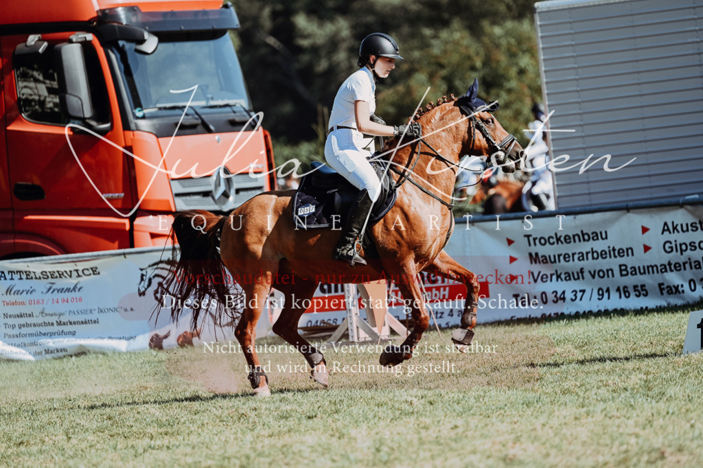 DSC_6880 | Pferde- und Turnierfotografie in Westsachsen. Pferdeportraits, Auftragszeichnungen und intuitive Kunst.