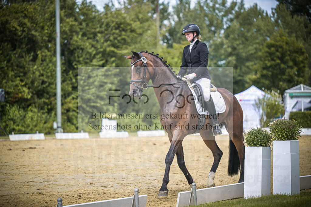DOS_2996 | Entdecke hochwertige Reitturnierfotos von Foto Oger. Professionell, emotional und authentisch – jetzt Lieblingsmomente im Shop bestellen.Deutschlandweite Turnierfotografie. - Realisiert mit Pictrs.com