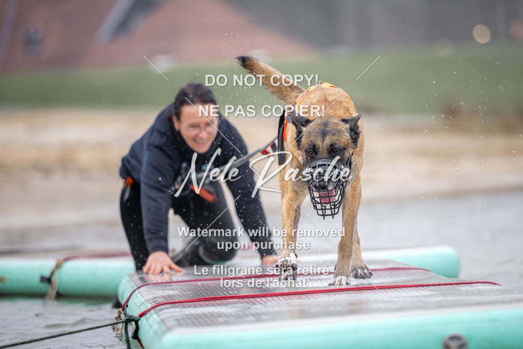 nelerasche_Hulsbeek_Sa0845-1030_390 | nelerasche