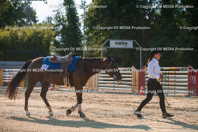 ZS2_8960 | dv-media-shop - Realisiert mit Pictrs.com