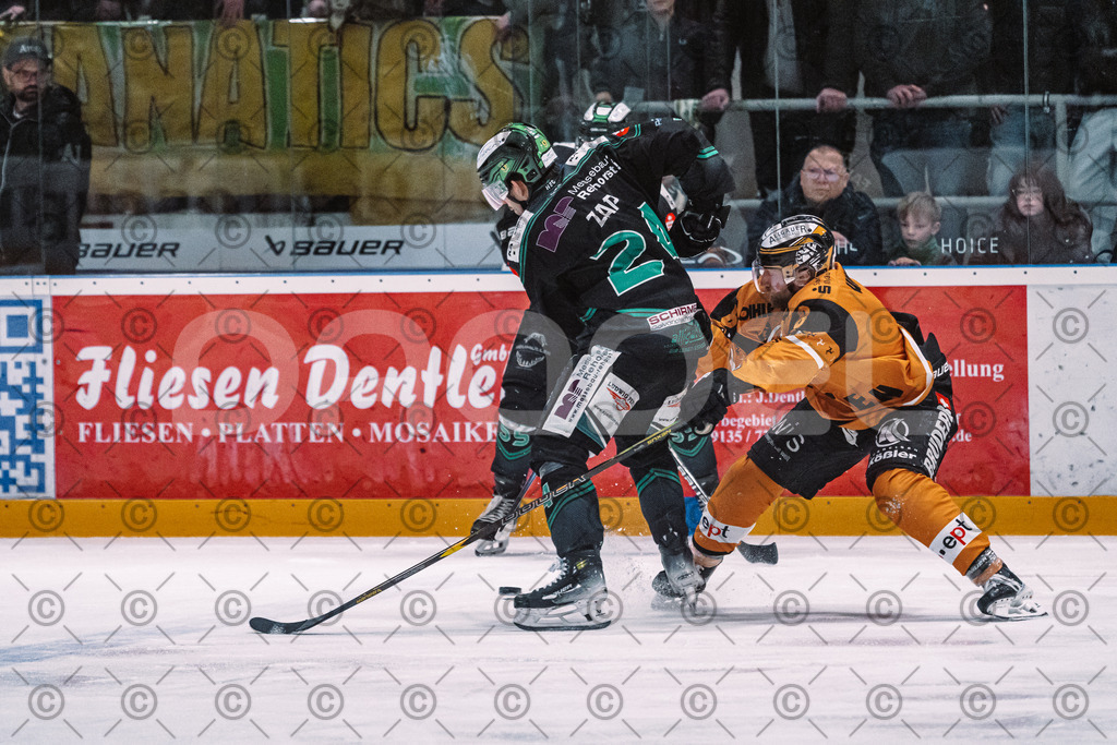 Alligators_vs_Fuessen_01_03_2026_PP-13 | Höchstadt Alligators Fotogalerie: Eishockey-Action aus Franken. Professionelle Spielfotos, Portraits & Stadionbilder zum Download. Jetzt entdecken! - Realisiert mit Pictrs.com