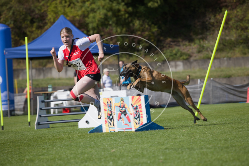 0L8A7664 | Hundefotografie, Tierfotograf, Pfotenfotografie, Fotoshooting Hund, Hunde Portrait, Hundesport, Hundeportraits, Heideshooting, Hunde, Sportfotograf, Hundefotograf, Turnierhundsport, THS,  - Realisiert mit Pictrs.com