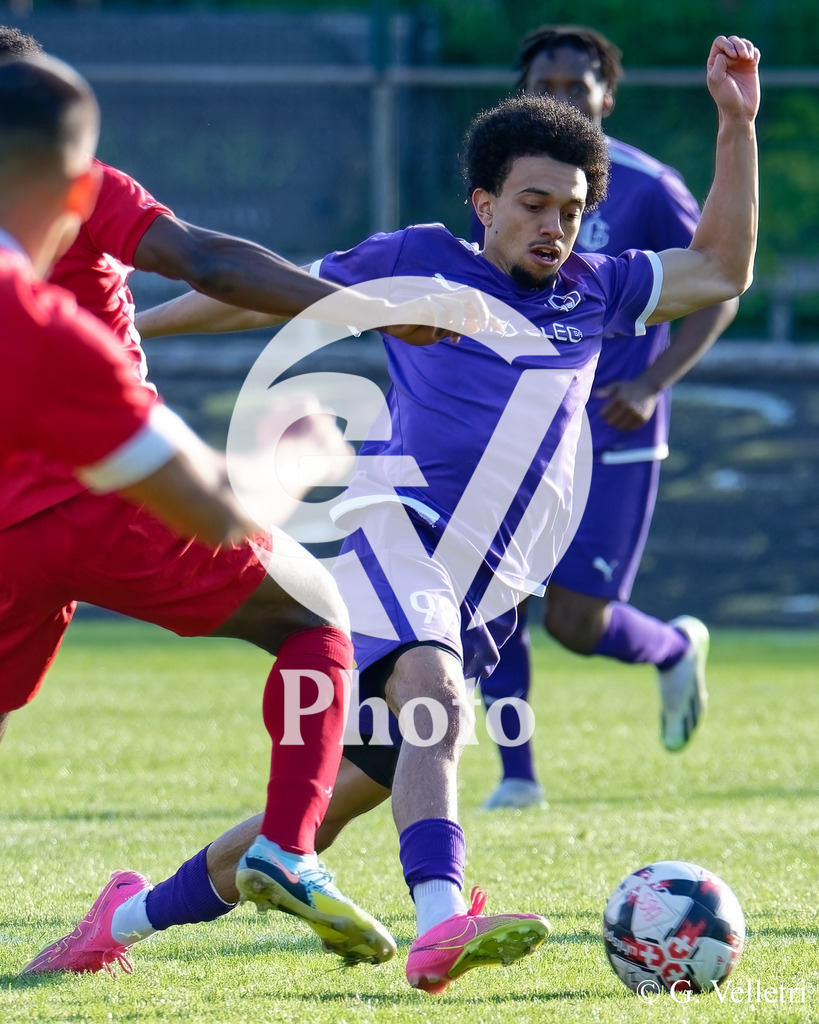 DSC_7774 | Velletri Photo