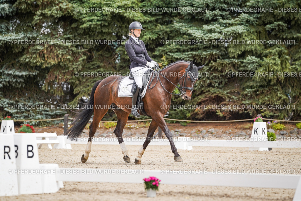 DSC03765 | Pferdegrafie