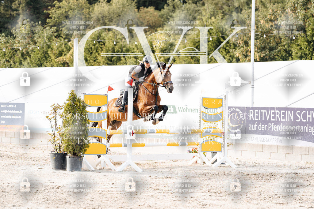 CK906896 | Turnierfotografie Pferdefotografie Trier Rheinland-Pfalz Pferdesport Reitsport Tierfotografie Sportfotografie Pferdevideo Pferdevideografie Equestrianvideography equestrianphotography  - Realisiert mit Pictrs.com