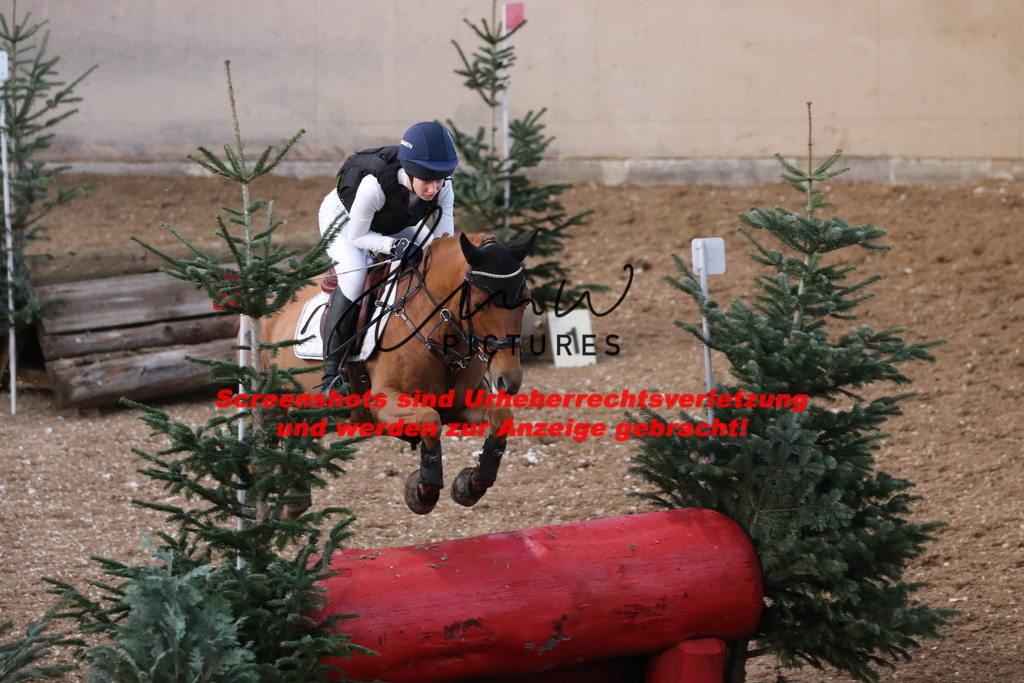 IMG_9795 | lmwpictures - Realisiert mit Pictrs.com