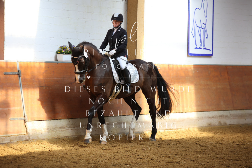 IMGT4987 | pl-fotografie