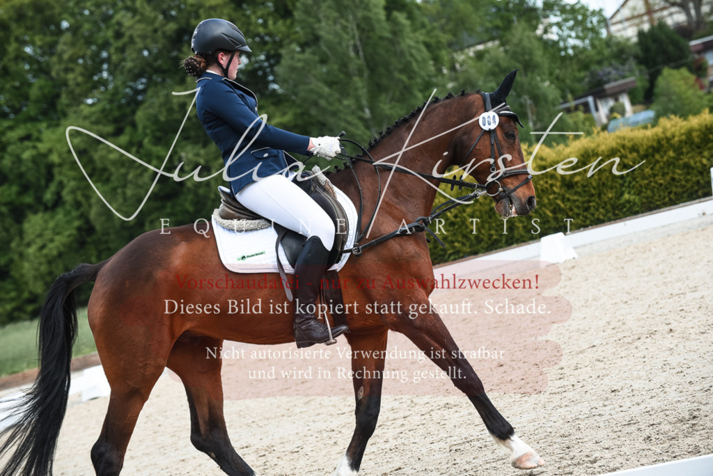 20230518_JK-Röhrsdorf-11-0976 | Pferde- und Turnierfotografie in Westsachsen. Pferdeportraits, Auftragszeichnungen und intuitive Kunst.