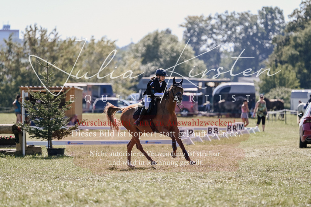 DSC_2968 | Pferde- und Turnierfotografie in Westsachsen. Pferdeportraits, Auftragszeichnungen und intuitive Kunst.