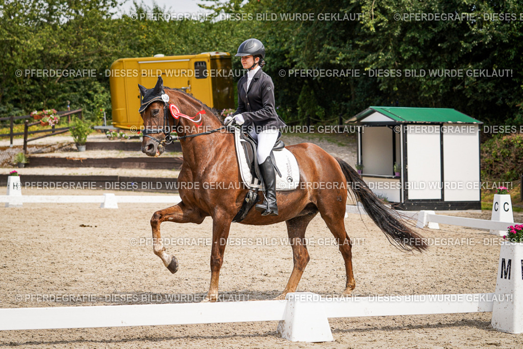 DSC04691 | Pferdegrafie