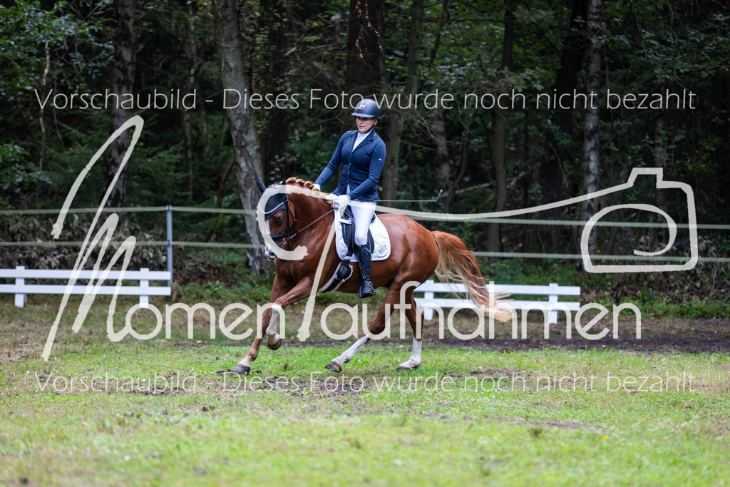 HB-A-Dressur-153 | MomenTaufnahmen Pferdesportfotos