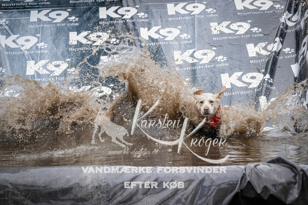 1249_ZZ90586 | kk-dogfotos