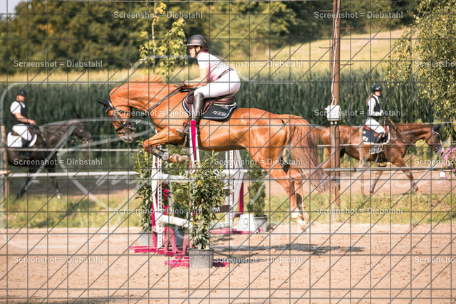 _W6A2381 | ronjaprokoschfotografie - Realisiert mit Pictrs.com