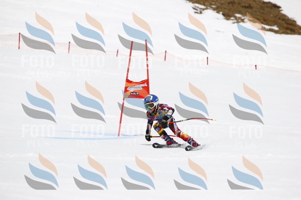 _U3G7157 | holidayphoto