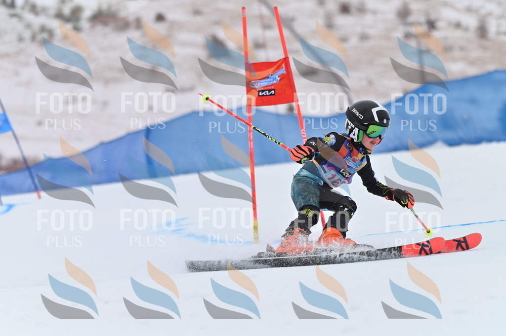 BGV_0223 | holidayphoto