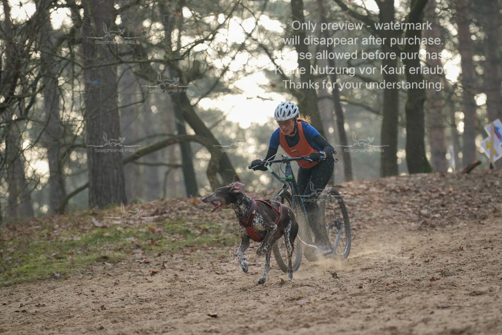 Scooter1-5 | stephaniefillaphotographie - Realisiert mit Pictrs.com