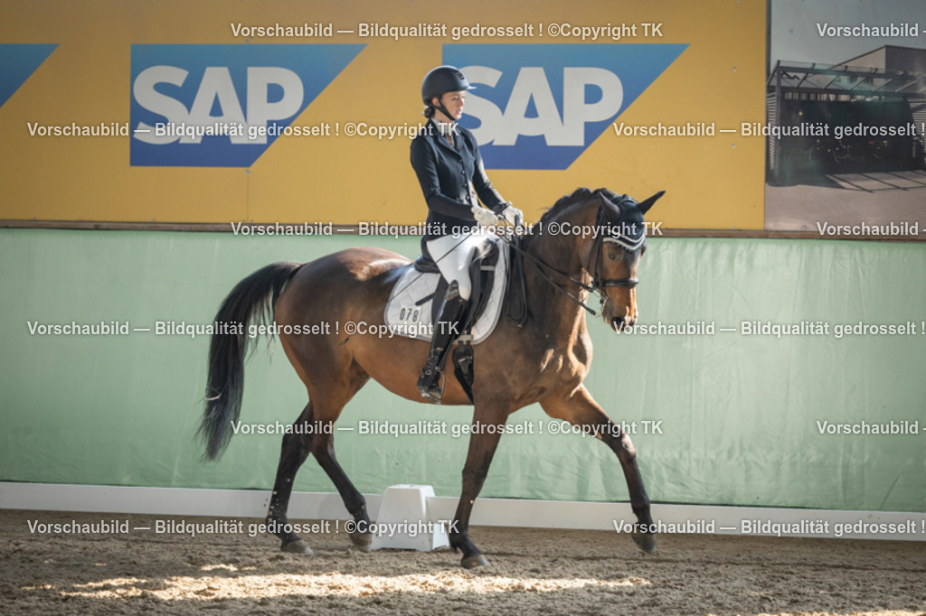 _D5A2914 | Emotionale Pferde- & People-Fotografie rund um Heidelberg, Leimen & Umgebung. Natürliche Fotos von Pferd, Mensch & Familie. Jetzt Termin sichern!