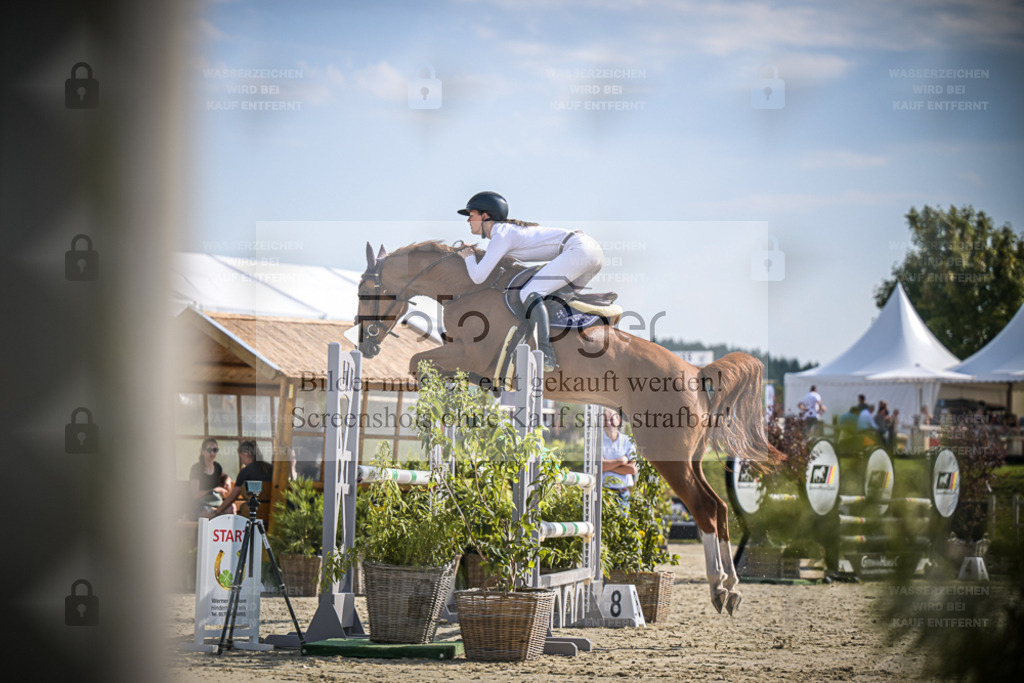 DOS_8994 | Entdecke hochwertige Reitturnierfotos von Foto Oger. Professionell, emotional und authentisch – jetzt Lieblingsmomente im Shop bestellen. - Realisiert mit Pictrs.com
