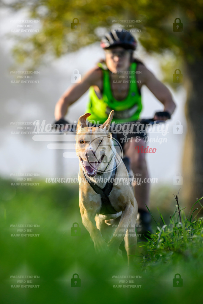 MompixPhotography_20TSB_E3_Bike-75 | PayLife