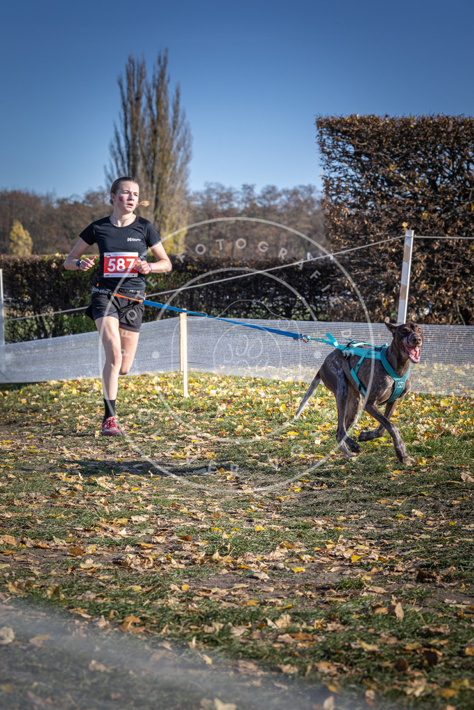 CaniXpix_DV3A9184 | Hundefotografie, Tierfotograf, Pfotenfotografie, Fotoshooting Hund, Hunde Portrait, Hundesport, Hundeportraits, Heideshooting, Hunde, Sportfotograf, Hundefotograf, Turnierhundsport, THS,  - Realisiert mit Pictrs.com