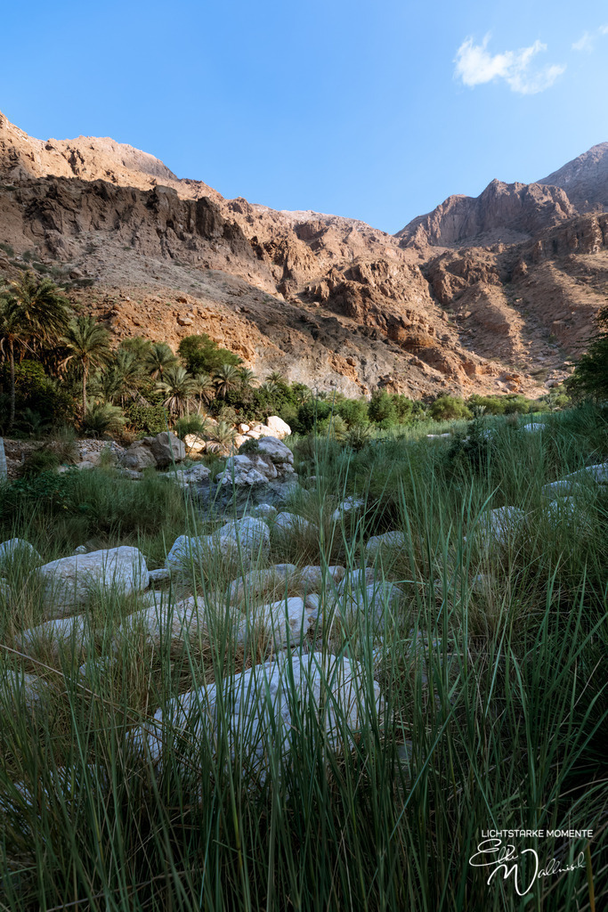 Wadi Tiwi, Oman | Herzlich willkommen auf meiner Seite! Ich bin Elke Wallnisch, Deine Fotografin für lichtstarke Momente. Der Name steht für alles, was mich mit der Fotografie verbindet: Das Licht und seine machtvolle Wirkung auf eine Situation oder unsere Stimmung - Realisiert mit Pictrs.com