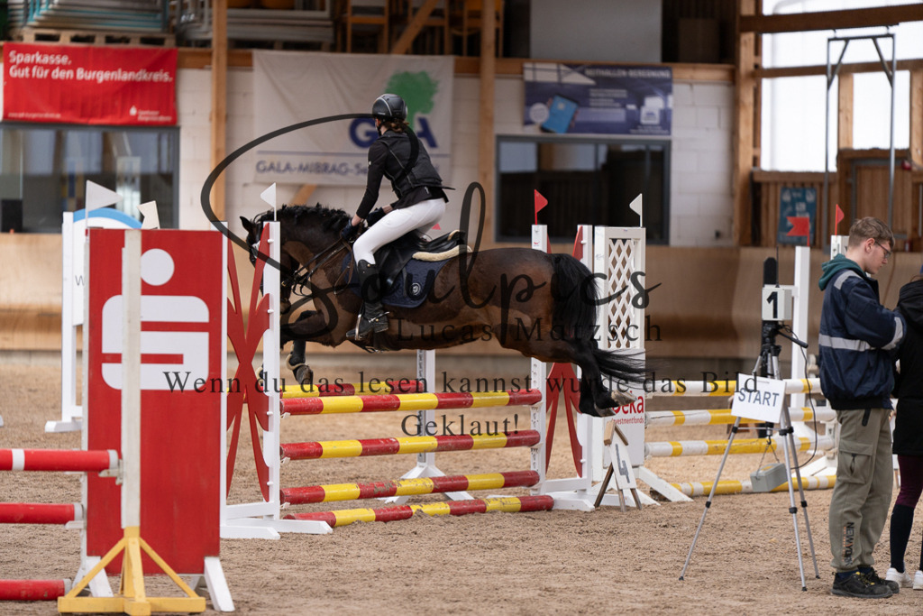 A7507547 | Pferdefotograf