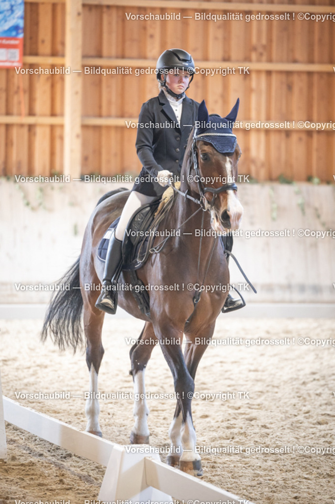 _D5A5502 | Emotionale Pferde- & People-Fotografie rund um Heidelberg, Leimen & Umgebung. Natürliche Fotos von Pferd, Mensch & Familie. Jetzt Termin sichern!