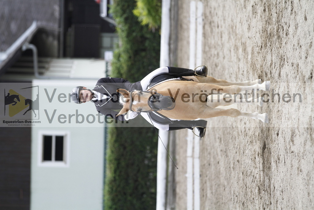 _MG_1047 | equestrian-live-com
