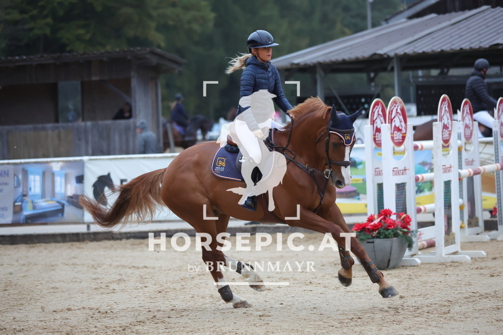 0P6A5381 | Willkommen bei Brunnmayr - Design & Fotografie – Ihrem Spezialisten für Reitturniere und Pferdeveranstaltungen in Oberösterreich, Salzburg und Bayern! Seit über 17 Jahren sind wir leidenschaftlich dabei.