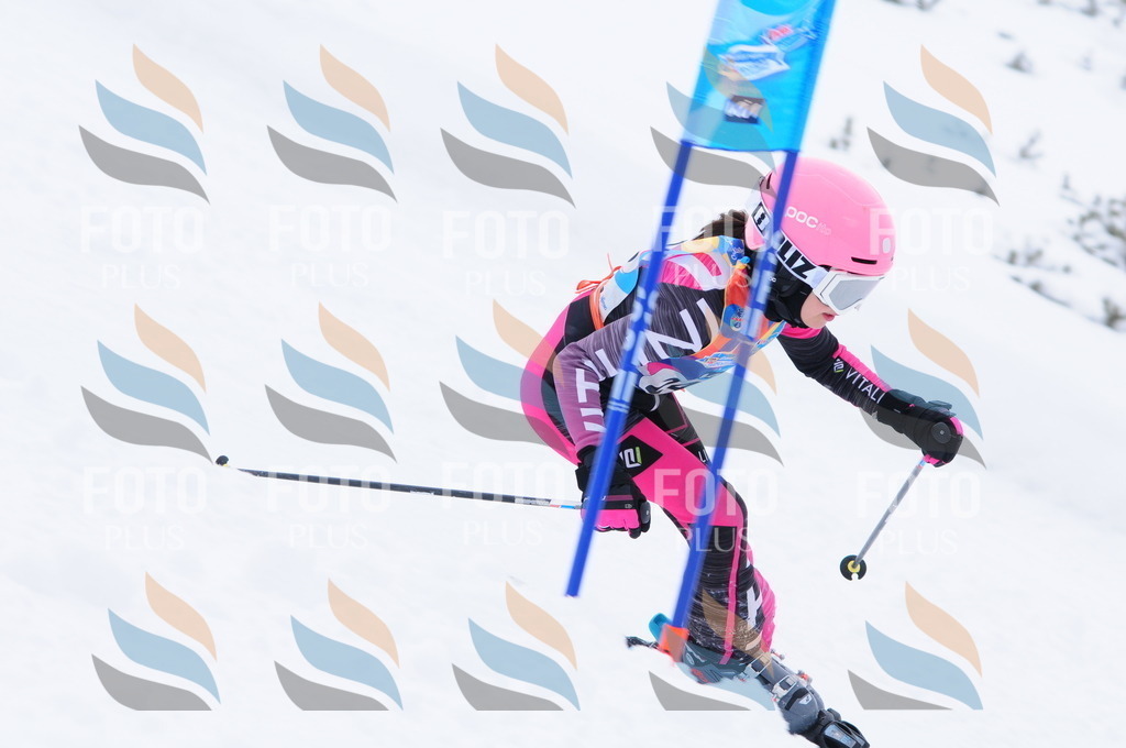 C2610 | holidayphoto