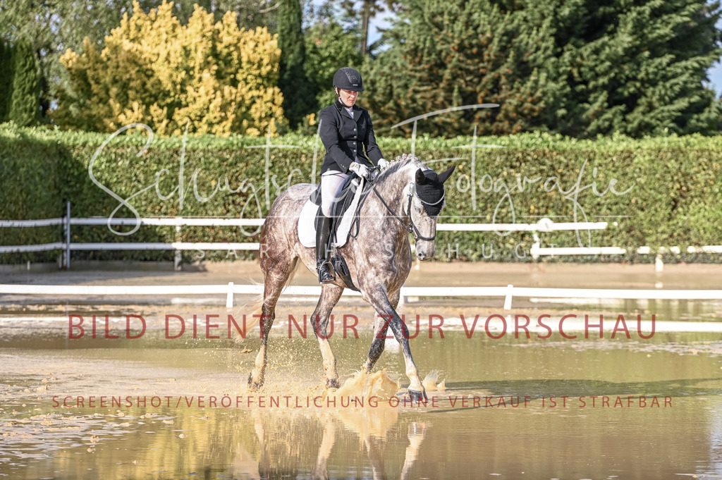 Schugtsche-Aluta25-54.Dressurprf.L1Trense-198 | Schugtsche Fotografie - Realisiert mit Pictrs.com