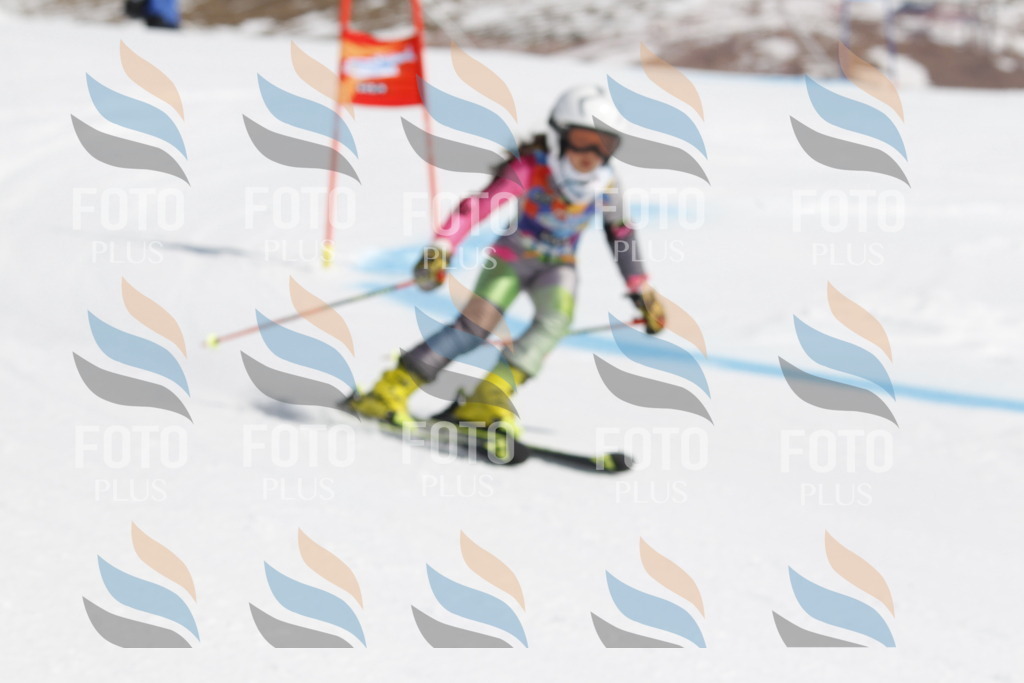 _U3G0611 | holidayphoto