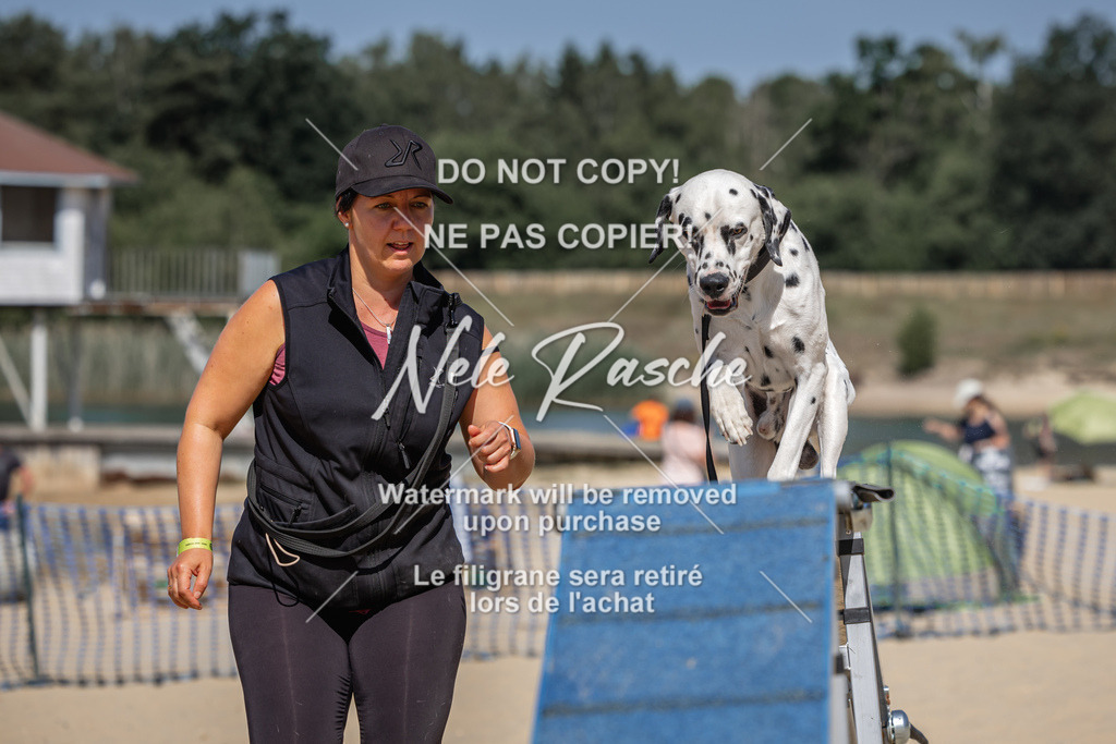 nelerasche_saBeachility_390 | nelerasche
