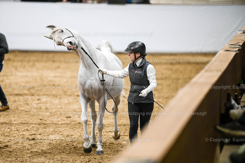 20260307_Hengstvorstellung-Marbach_0434 | equistock