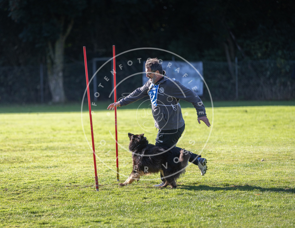 Pfotenfotografie.de_DV3A3284 | Hundefotografie, Tierfotograf, Pfotenfotografie, Fotoshooting Hund, Hunde Portrait, Hundesport, Hundeportraits, Heideshooting, Hunde, Sportfotograf, Hundefotograf, Turnierhundsport, THS, canicross - Realisiert mit Pictrs.com