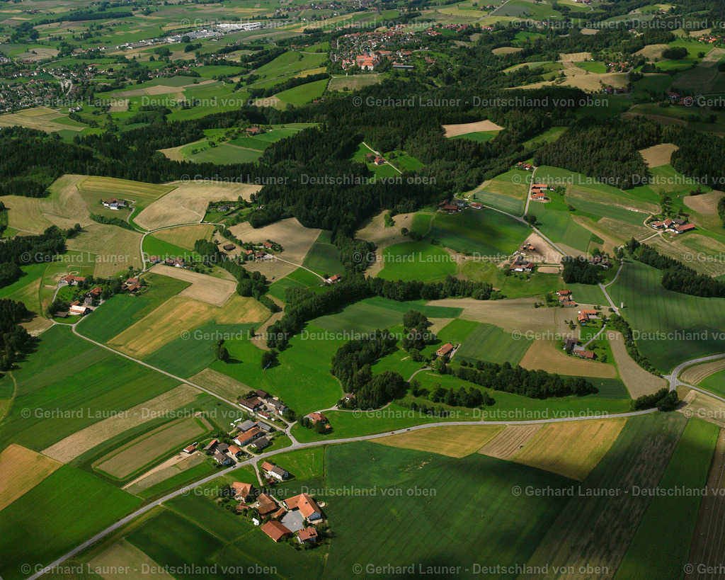 2519519 | Rankam, Bogen