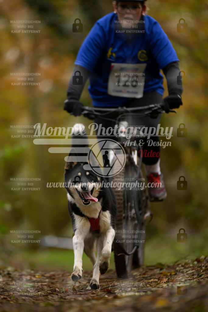 MompixPhotography_Bischwiller24_SA_VTT-76 | PayLife