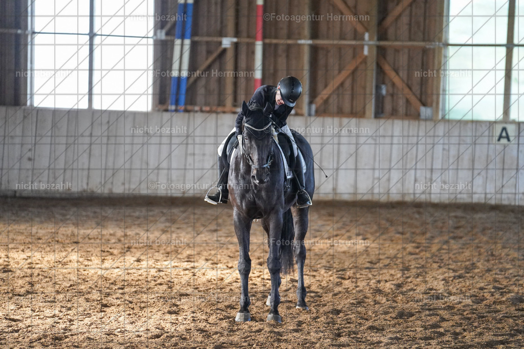 20230917-FAH00036 | Landsberg am Lech, 2023, Kaufbeuren, Kempten, Allgäu, Turnierfotografen Bayern, Fotoagentur Herrmann, Turnierbilder, Reitsport Fotos, Pferdefotograf, Augsburg, Bad Tölz, Dachau, Karlsfeld, Memmingen, Buchloe, Schwabmünchen