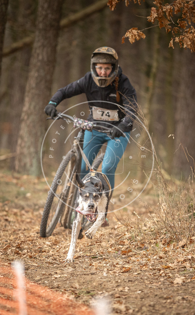Pfotenfotografie_DV3A4039 | Hundefotografie, Tierfotograf, Pfotenfotografie, Fotoshooting Hund, Hunde Portrait, Hundesport, Hundeportraits, Heideshooting, Hunde, Sportfotograf, Hundefotograf, Turnierhundsport, THS,  - Realisiert mit Pictrs.com