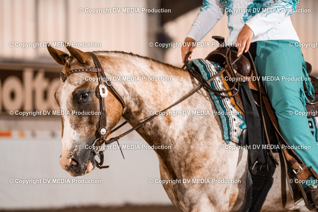 ZH200342 | dv-media-shop - Realisiert mit Pictrs.com