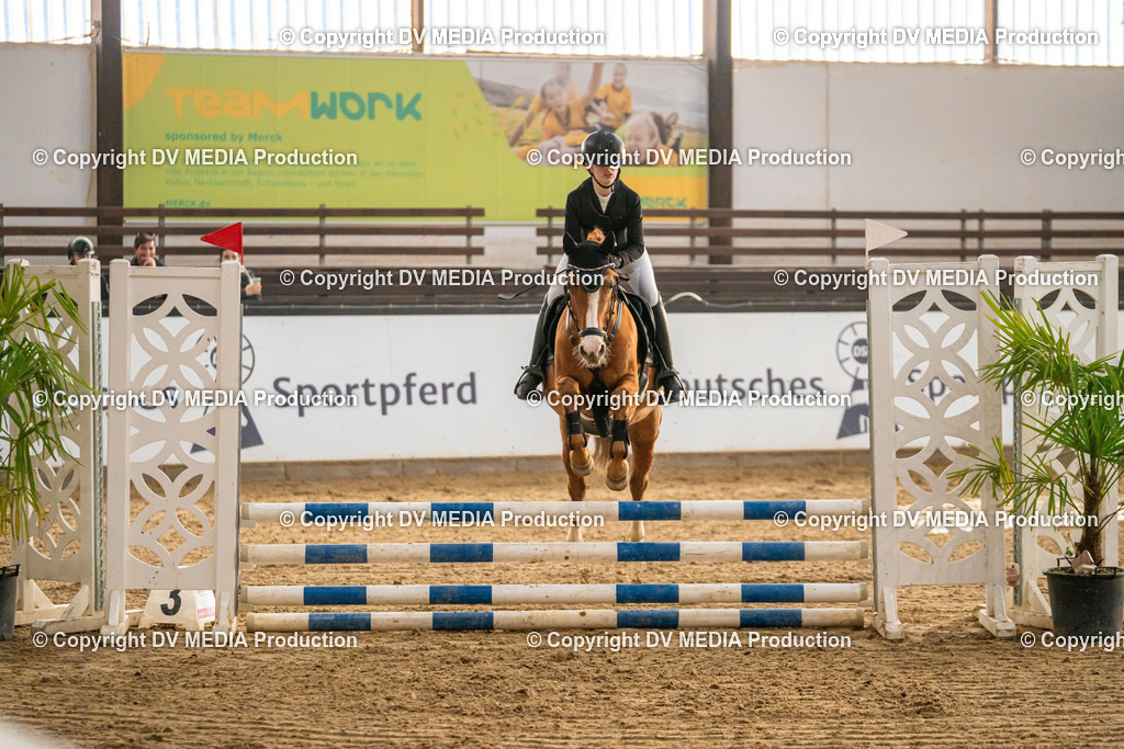 Kranichstein Tag 2-1100 | dv-media-shop - Realisiert mit Pictrs.com